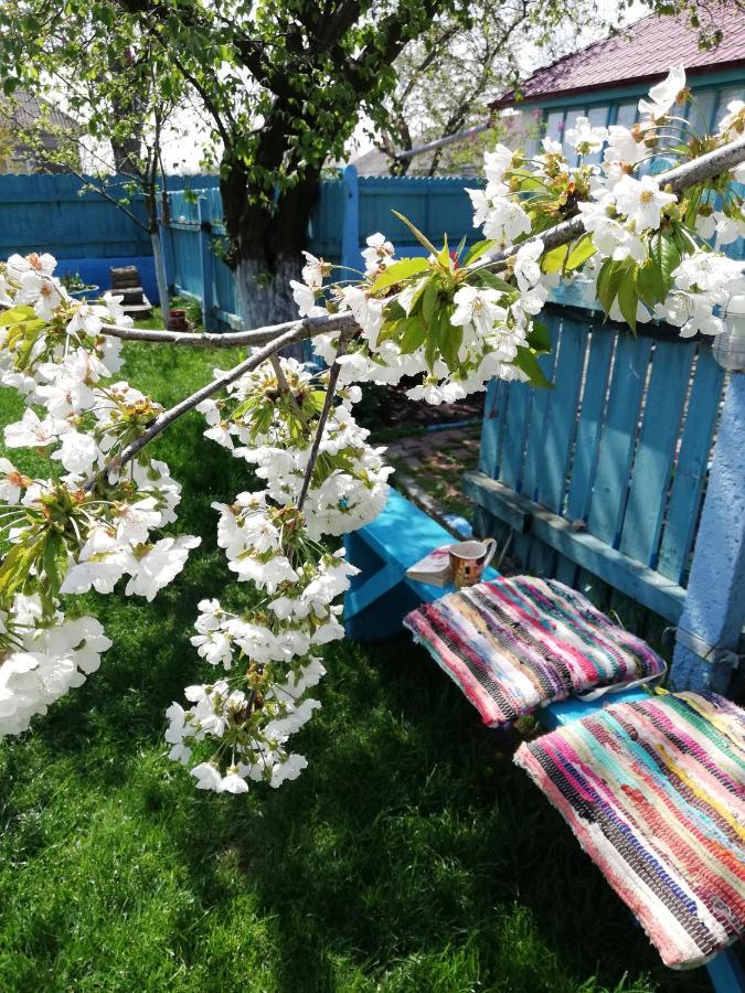Casa Bunicilor Granny'S House Βίλα Jurilovca Εξωτερικό φωτογραφία