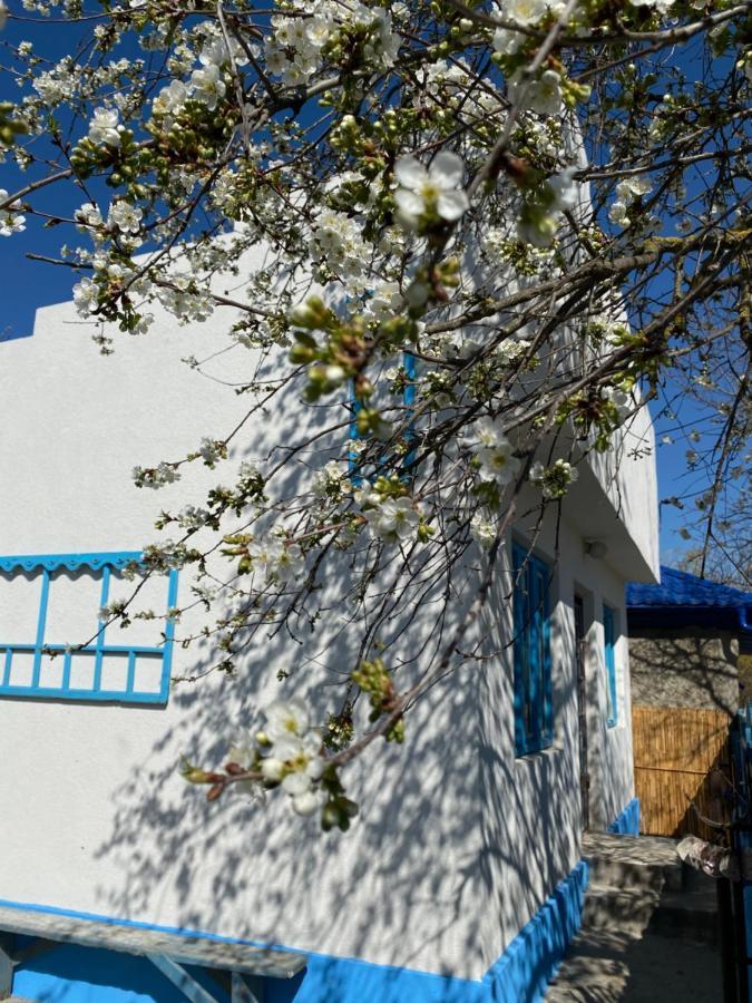 Casa Bunicilor Granny'S House Βίλα Jurilovca Εξωτερικό φωτογραφία