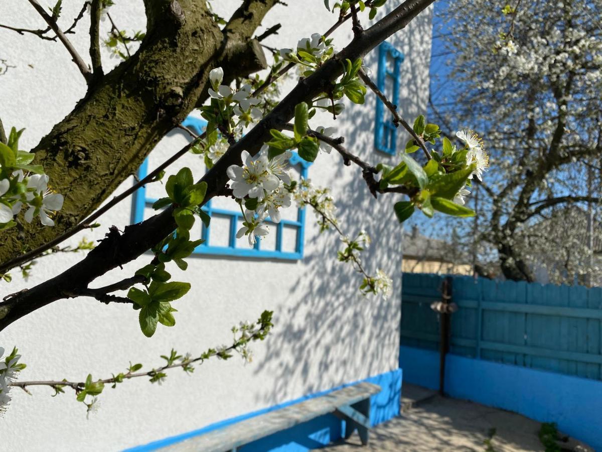 Casa Bunicilor Granny'S House Βίλα Jurilovca Εξωτερικό φωτογραφία