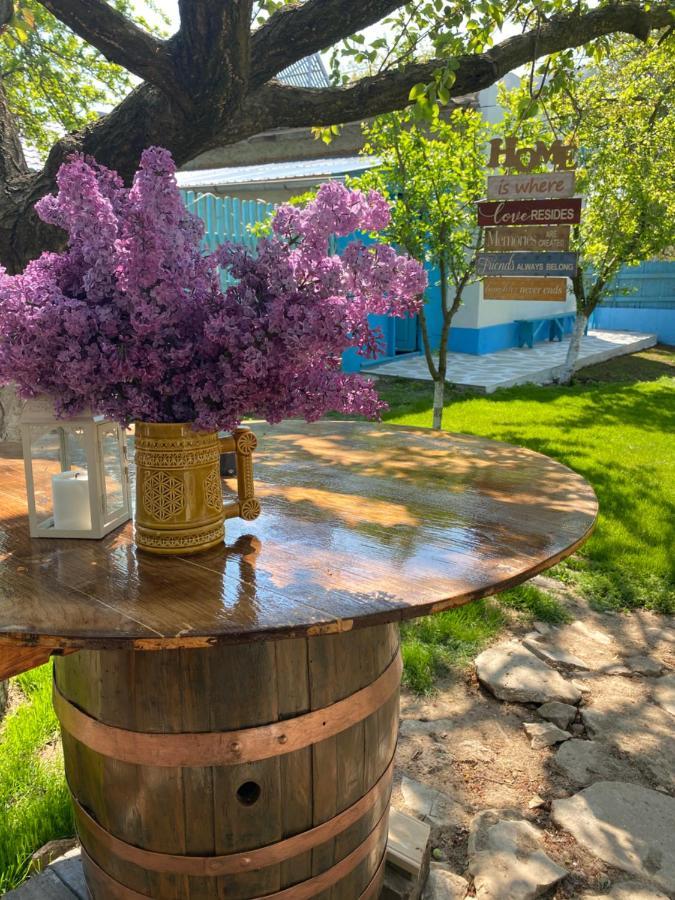 Casa Bunicilor Granny'S House Βίλα Jurilovca Εξωτερικό φωτογραφία