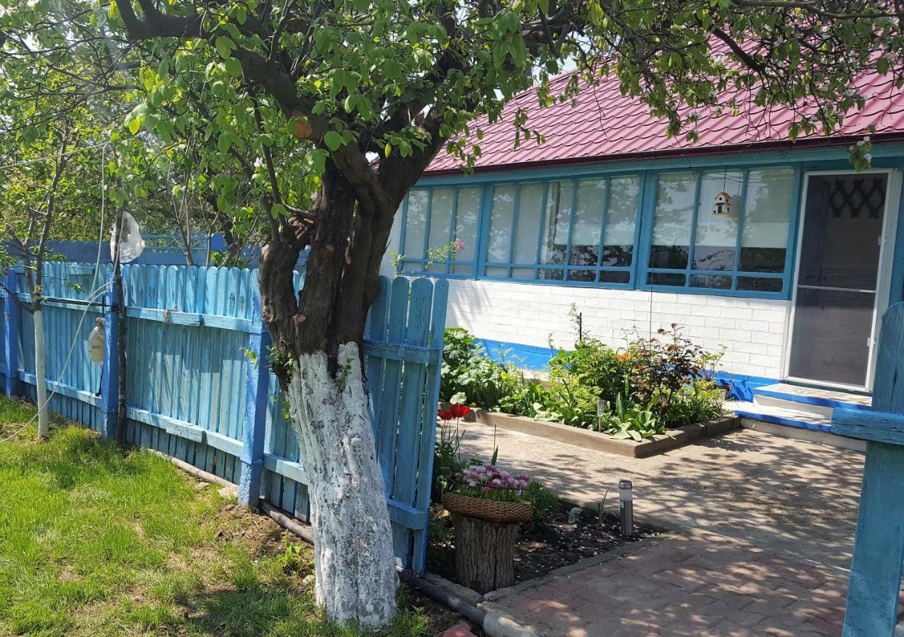 Casa Bunicilor Granny'S House Βίλα Jurilovca Εξωτερικό φωτογραφία